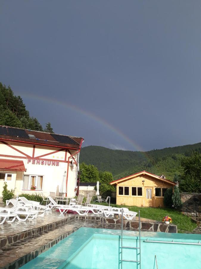 Pensiunea Alpin Paltinis Exterior photo