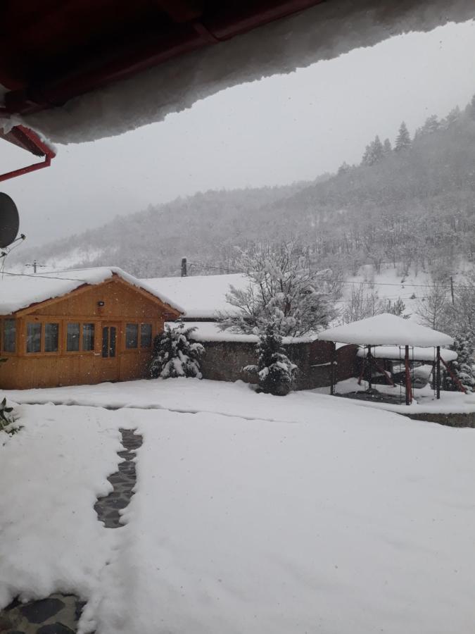 Pensiunea Alpin Paltinis Exterior photo