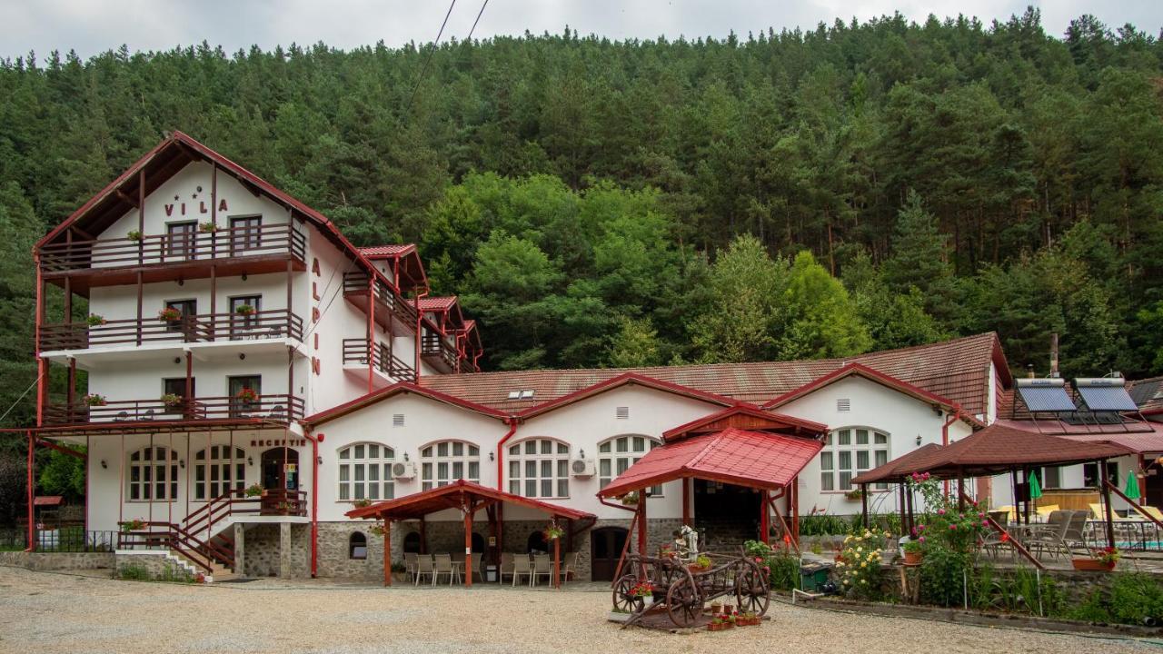 Pensiunea Alpin Paltinis Exterior photo