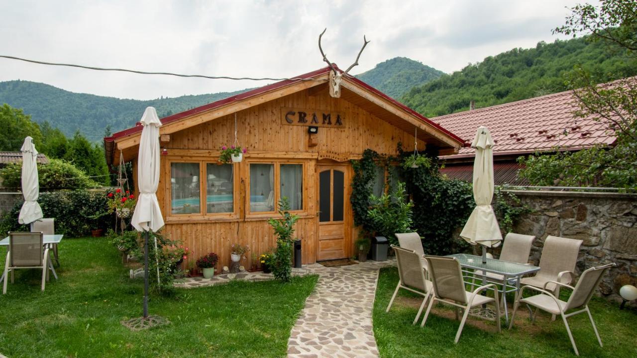 Pensiunea Alpin Paltinis Exterior photo