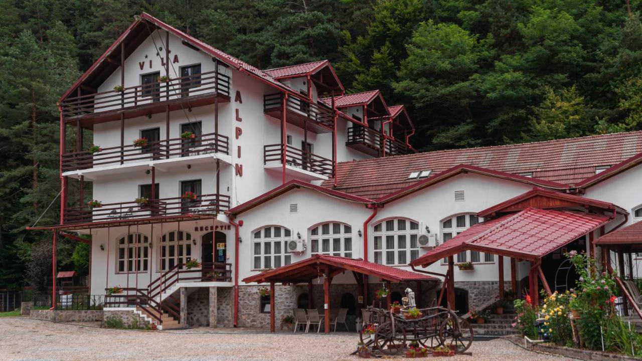 Pensiunea Alpin Paltinis Exterior photo