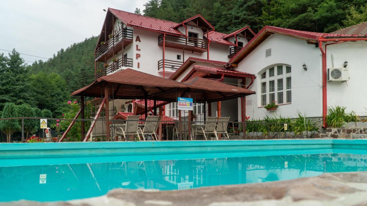 Pensiunea Alpin Paltinis Exterior photo