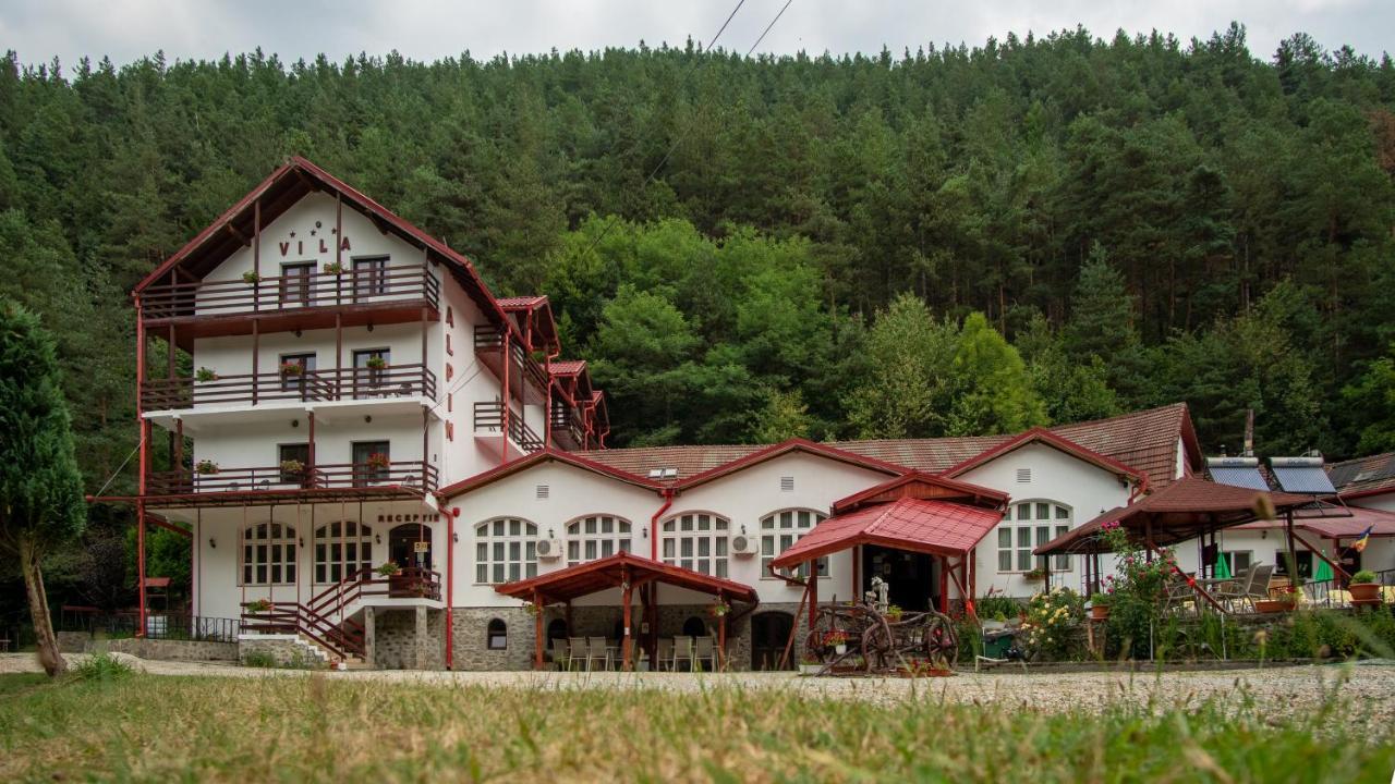 Pensiunea Alpin Paltinis Exterior photo