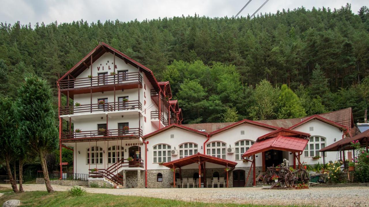 Pensiunea Alpin Paltinis Exterior photo