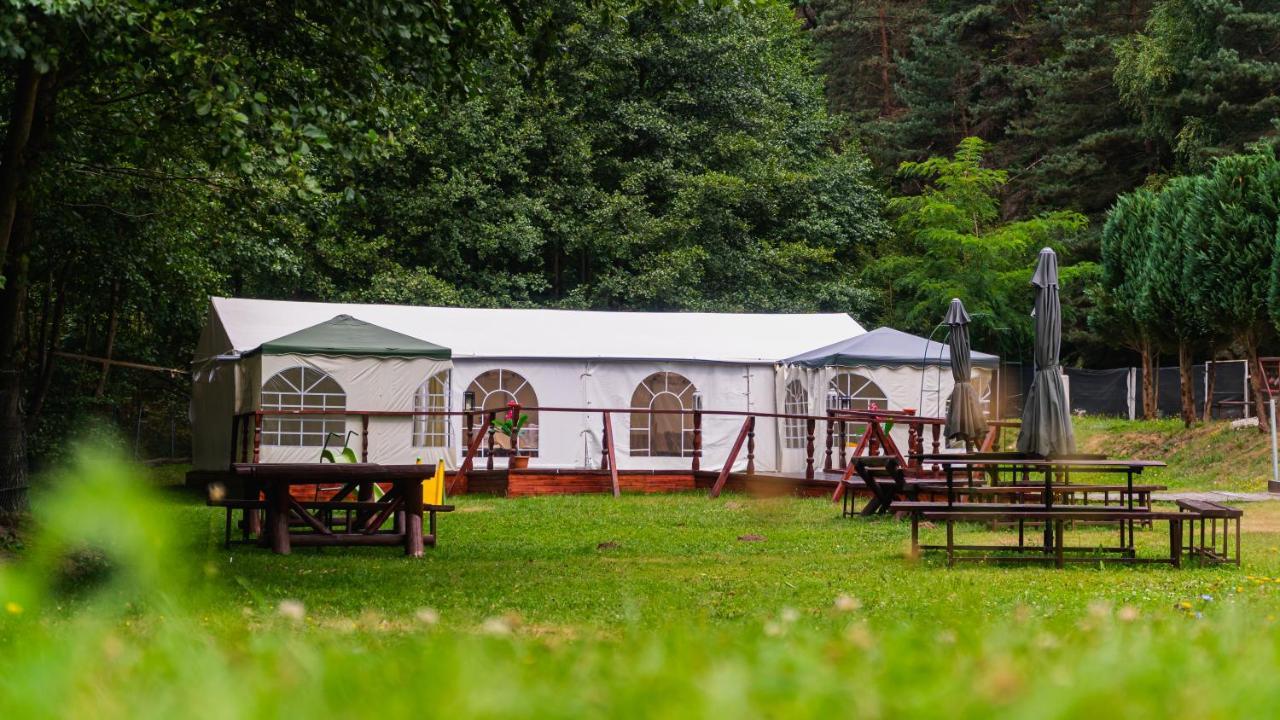 Pensiunea Alpin Paltinis Exterior photo
