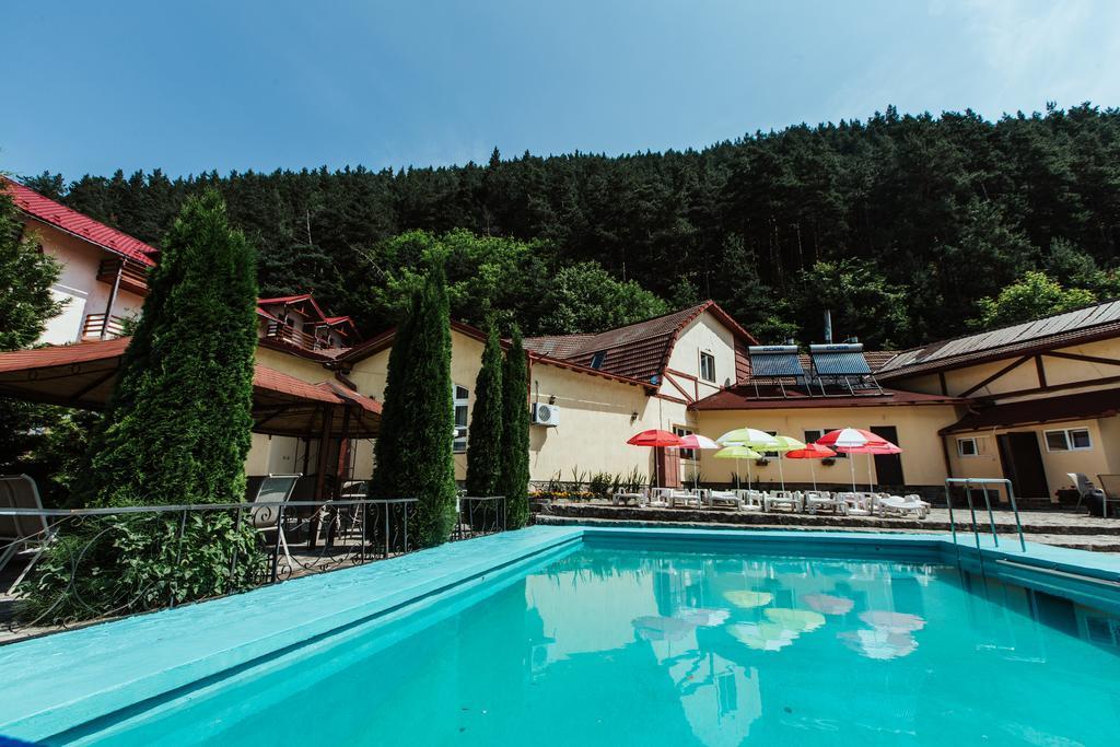 Pensiunea Alpin Paltinis Exterior photo